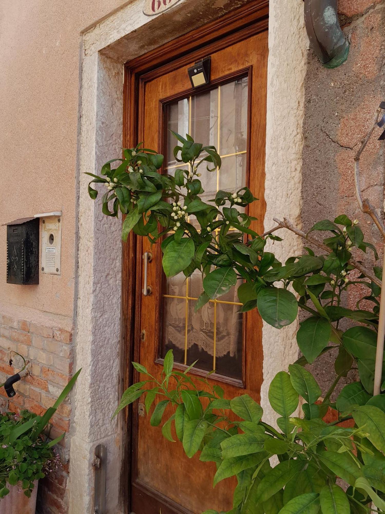 Residenza Biennale